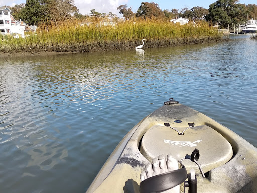 Outdoor Sports Store «Wild River Outfitters Inc», reviews and photos, 3636 Virginia Beach Blvd #108, Virginia Beach, VA 23452, USA