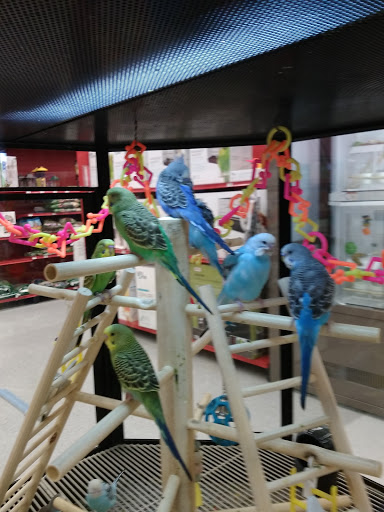 Pet Supply Store «Petco Animal Supplies», reviews and photos, 4013 W Walnut St, Rogers, AR 72756, USA