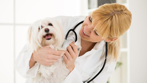 3607 Community Rd, Brunswick, GA 31520, USA