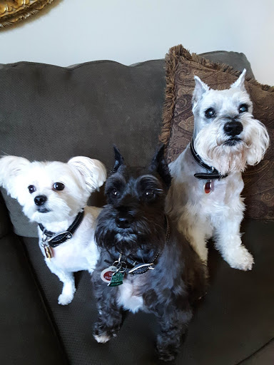 5401 Blandville Rd, Paducah, KY 42001, USA