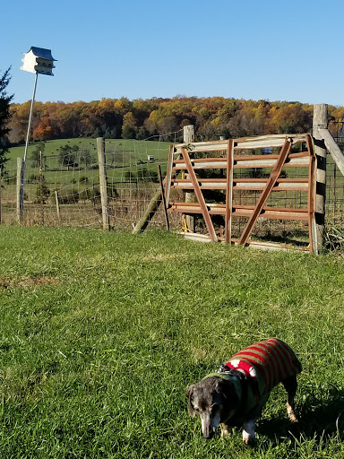 Produce Market «Buckland Farm Market», reviews and photos, 4484 Lee Hwy, Warrenton, VA 20187, USA