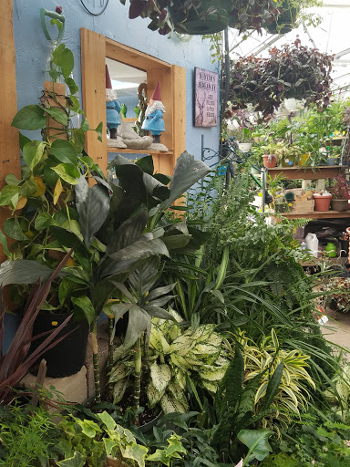 Plant shops in Denver