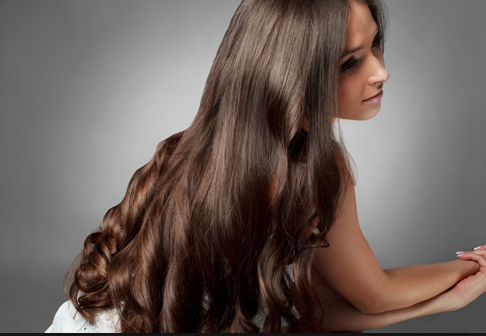 Silver Shears Hair Salon 11553