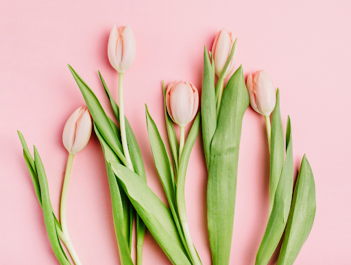 Florist «BOUQUETS», reviews and photos, 1525 15th St, Denver, CO 80202, USA