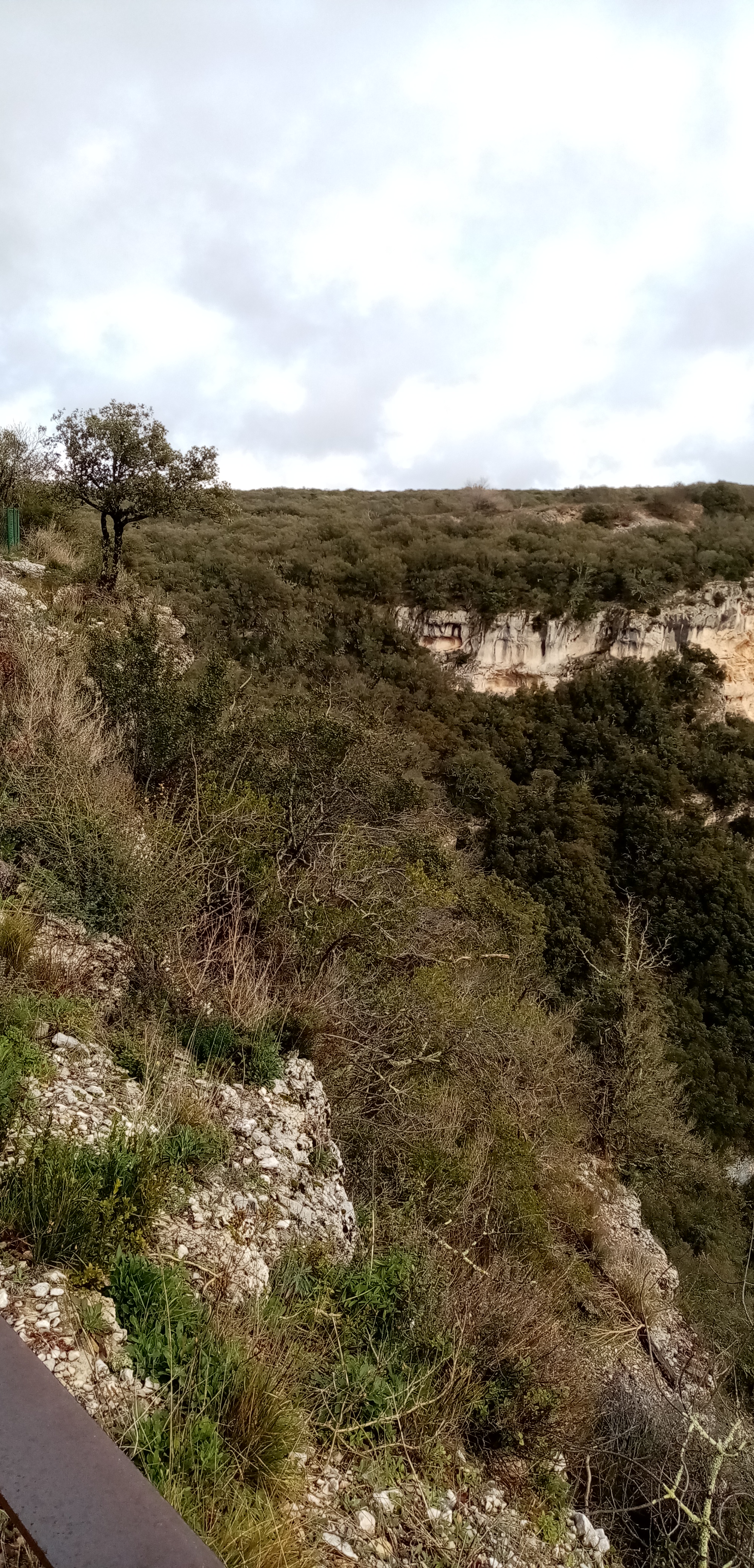 Photo n° 15 de l'avis de Fabrice.o fait le 27/01/2020 à 21:43