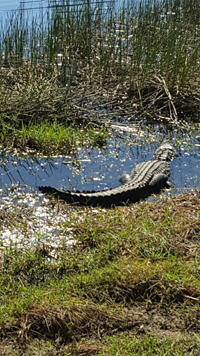 Golf Club «Stoneybrook Golf Club», reviews and photos, 21251 Stoneybrook Golf Blvd, Estero, FL 33928, USA