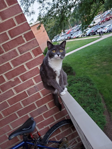 Pet Store «Pet Valu», reviews and photos, 7249 Arlington Blvd, Falls Church, VA 22042, USA