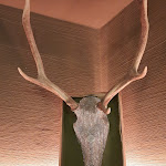 Photo n°6 de l'avis de Chrissi.i fait le 20/02/2023 à 16:38 sur le  Saarschleifenlodge à Mettlach