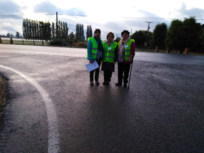 Escuela Rural De Quilen - Escuela