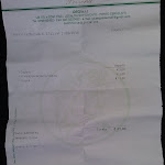 Photo n°1 de l'avis de Geims.o fait le 22/09/2018 à 04:19 sur le  Ristorante Pizzeria DANTE à Golfo Pevero