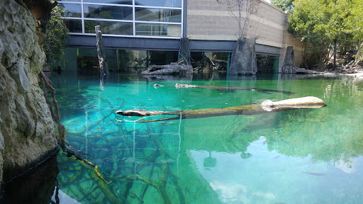 Zoo «Fort Worth Zoo», reviews and photos, 1989 Colonial Pkwy, Fort Worth, TX 76110, USA