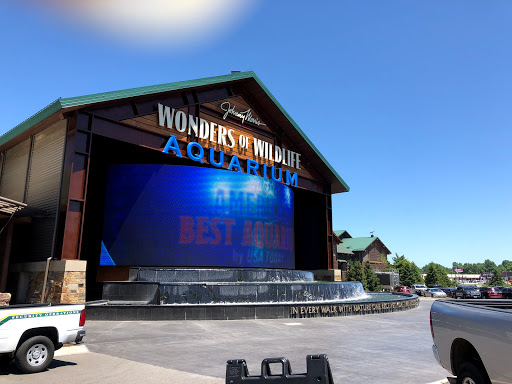 Sporting Goods Store «Bass Pro Shops», reviews and photos, 1935 S Campbell Ave, Springfield, MO 65807, USA