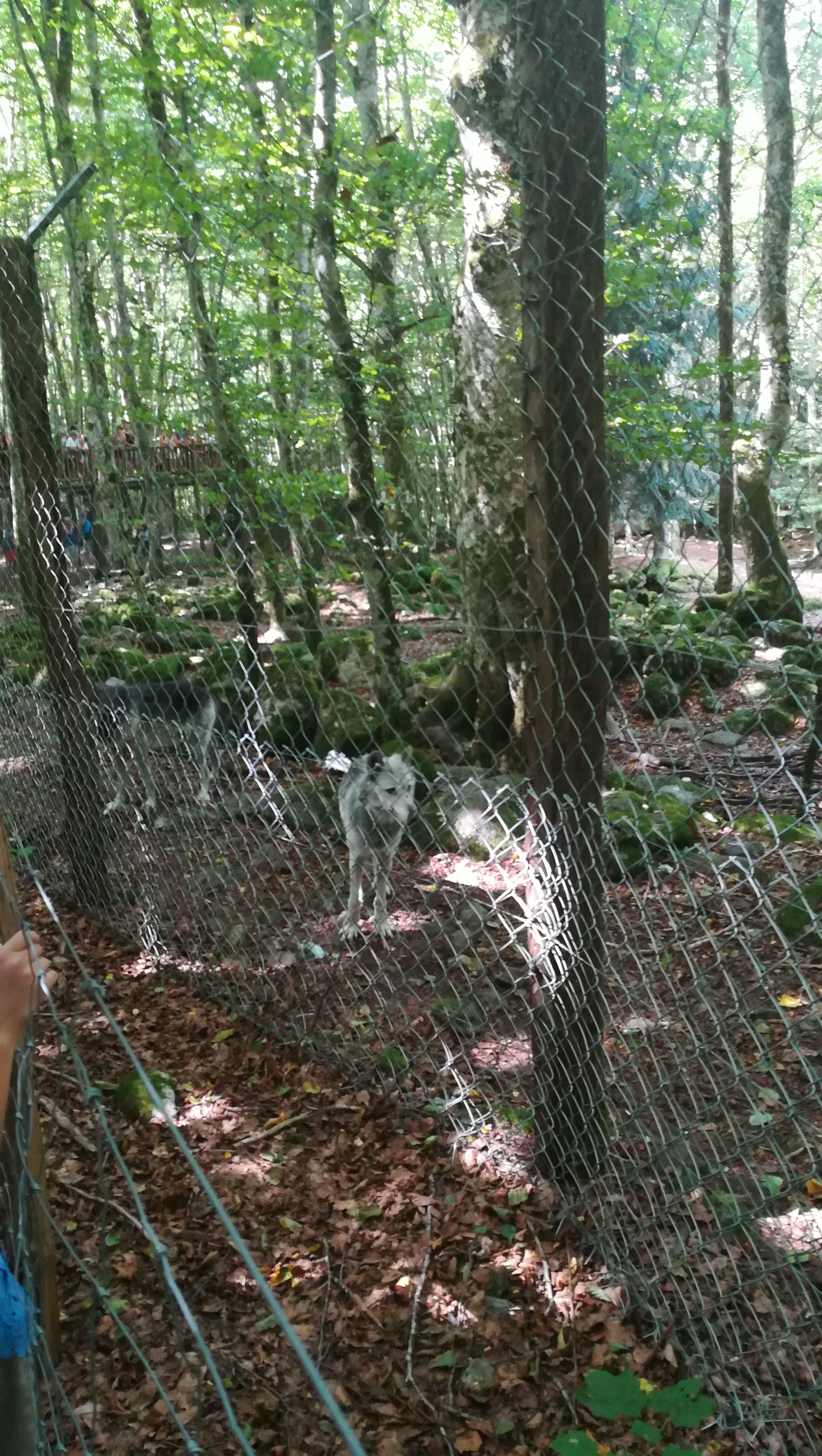 Photo n° 10 de l'avis de Melanie.a fait le 23/08/2018 à 08:47