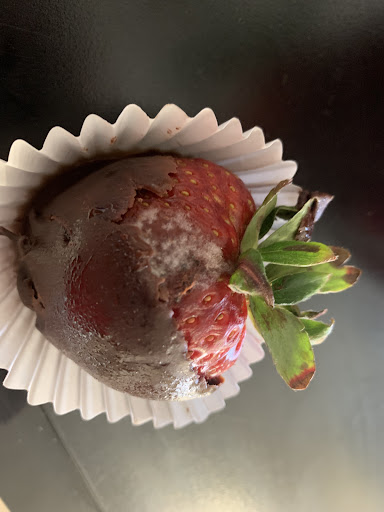 Gift Shop «Edible Arrangements», reviews and photos, 4909 Allentown Rd, Suitland, MD 20746, USA