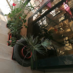 Photo n°12 de l'avis de leonardo.a fait le 13/08/2021 à 06:47 sur le  Hotel Gianfranco à Torre Pedrera