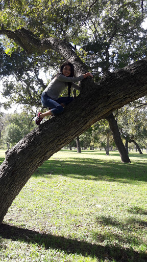 Park «Glendale Park», reviews and photos, 1515 E Ledbetter Dr, Dallas, TX 75216, USA