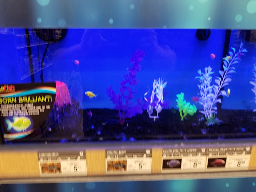 Pet Supply Store «Petco Animal Supplies», reviews and photos, 3551 W Hillsboro Blvd, Deerfield Beach, FL 33442, USA