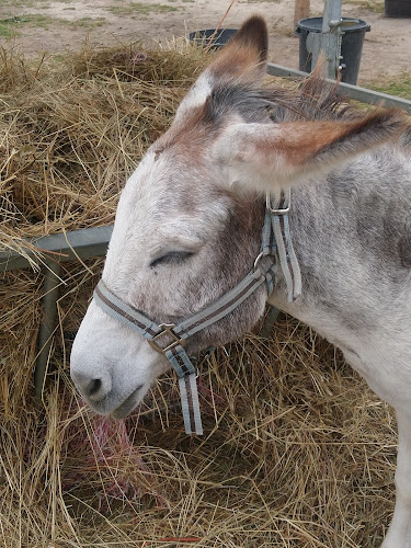 Association Equi.libre Midi-pyrénées à Vacquiers