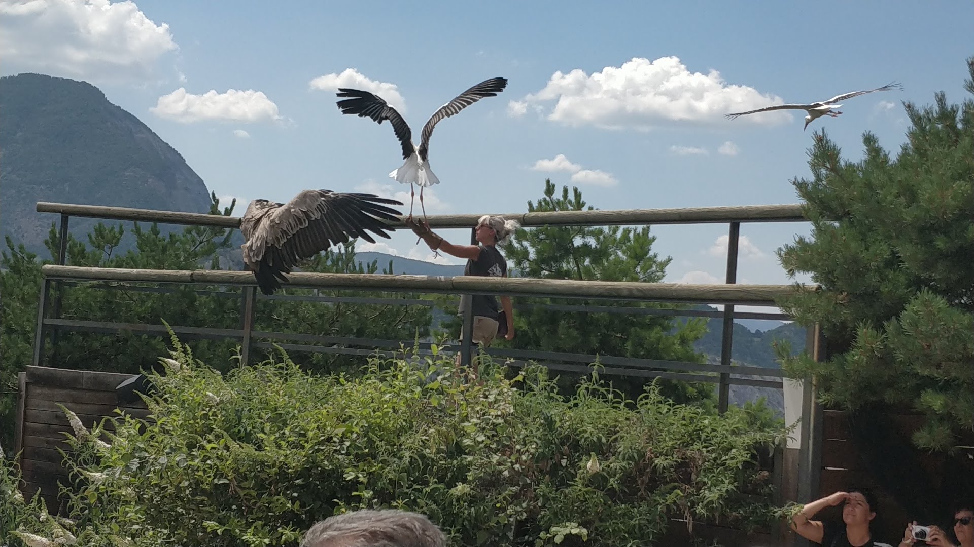 Photo n° 3 de l'avis de Sylvain.e fait le 02/08/2018 à 06:25