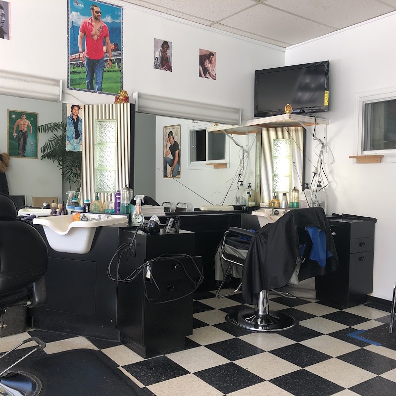 Tara Hair Salon montreal