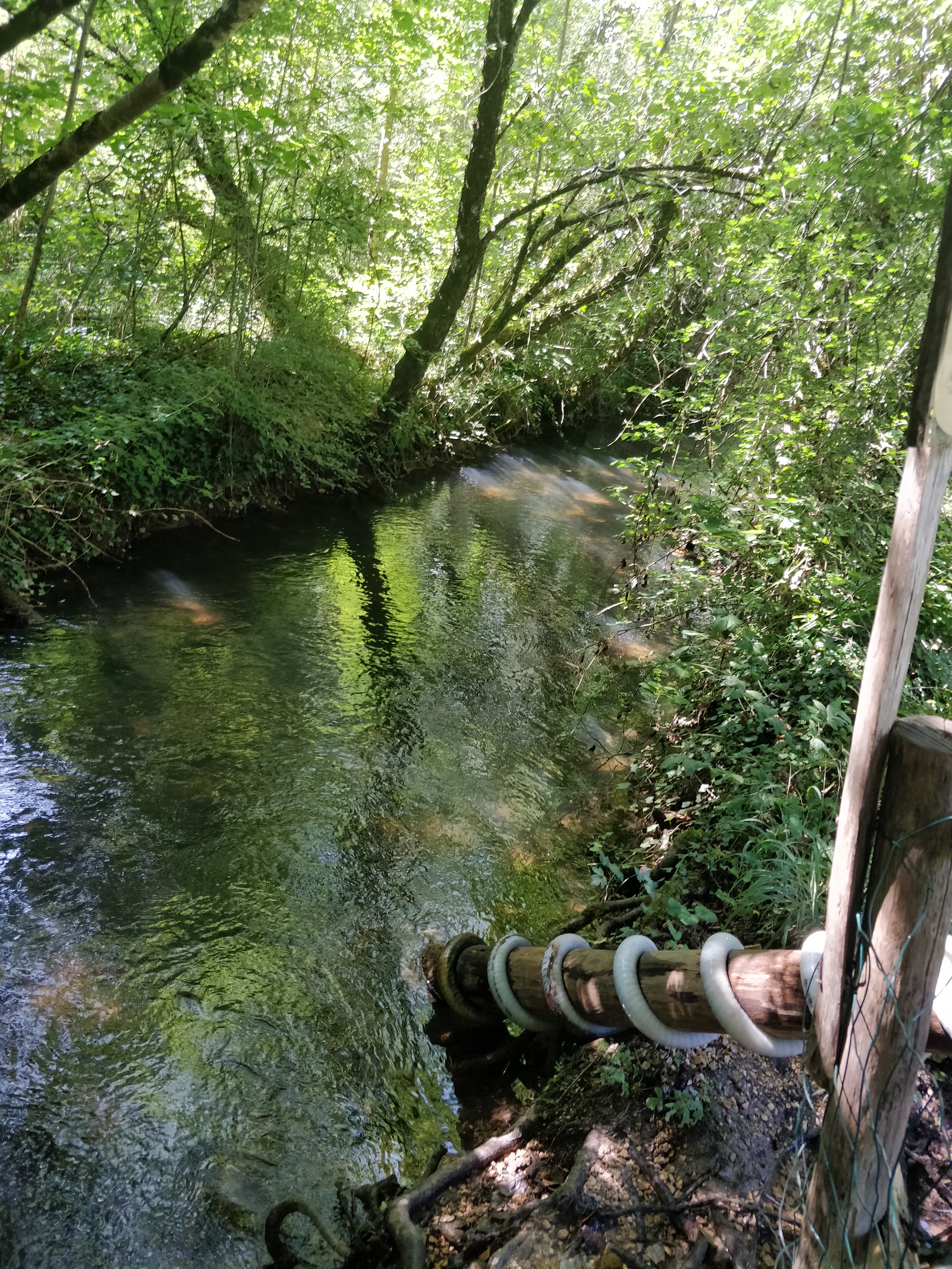 Photo n° 9 de l'avis de Sébastien.E fait le 25/08/2019 à 16:47