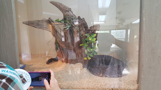 Zoo «Tupelo Buffalo Park & Zoo», reviews and photos, 2272 Coley Rd, Tupelo, MS 38801, USA