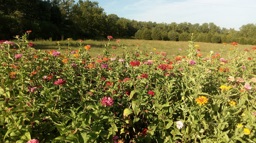 Winery «Peace Valley Winery», reviews and photos, 300 Old Limekiln Rd, Chalfont, PA 18914, USA