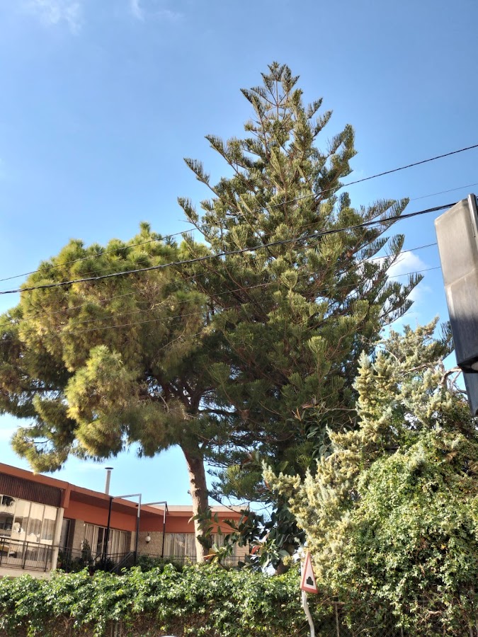 Hostal El Retiro
