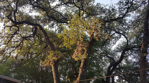 Winery «Helotes Creek Winery», reviews and photos, 14359 Old Bandera Rd #6, Helotes, TX 78023, USA