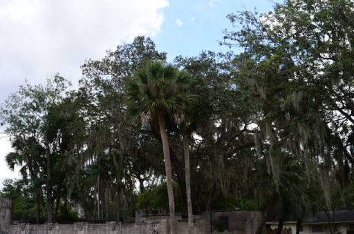 Non-Profit Organization «Art & History Museums - Maitland», reviews and photos, 231 W Packwood Ave, Maitland, FL 32751, USA