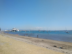 Pilot Bay'in fotoğrafı ve yerleşim
