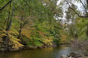 Natural Lands' Wawa Preserve image