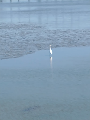 Park «Bare Cove Park», reviews and photos, Bare Cove Park Dr & Fort Hill St, Hingham, MA 02043, USA