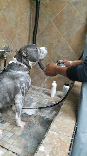 Pet Store «Pet Valu», reviews and photos, 49 East City Line Ave, Bala Cynwyd, PA 19004, USA