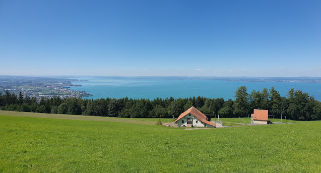 Rezensionen über Vonarburg Gartenbau in St. Gallen - Gartenbauer