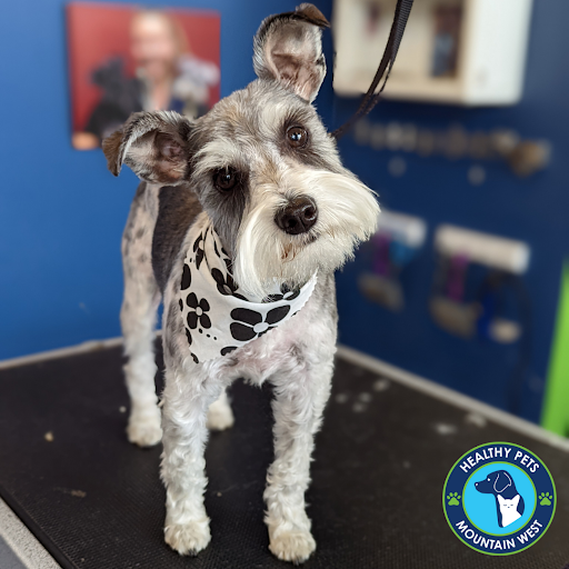 Pet Store «Healthy Pets Mountain West», reviews and photos, 2352 Fort Union Blvd, Cottonwood Heights, UT 84121, USA