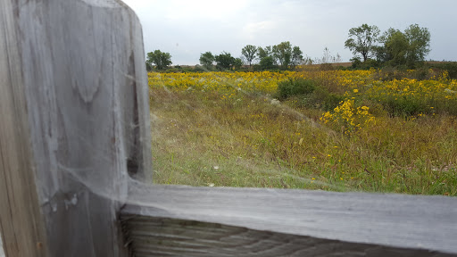 Nature Preserve «Orland Grassland», reviews and photos, 167th Street & S La Grange Road, Tinley Park, IL 60487, USA