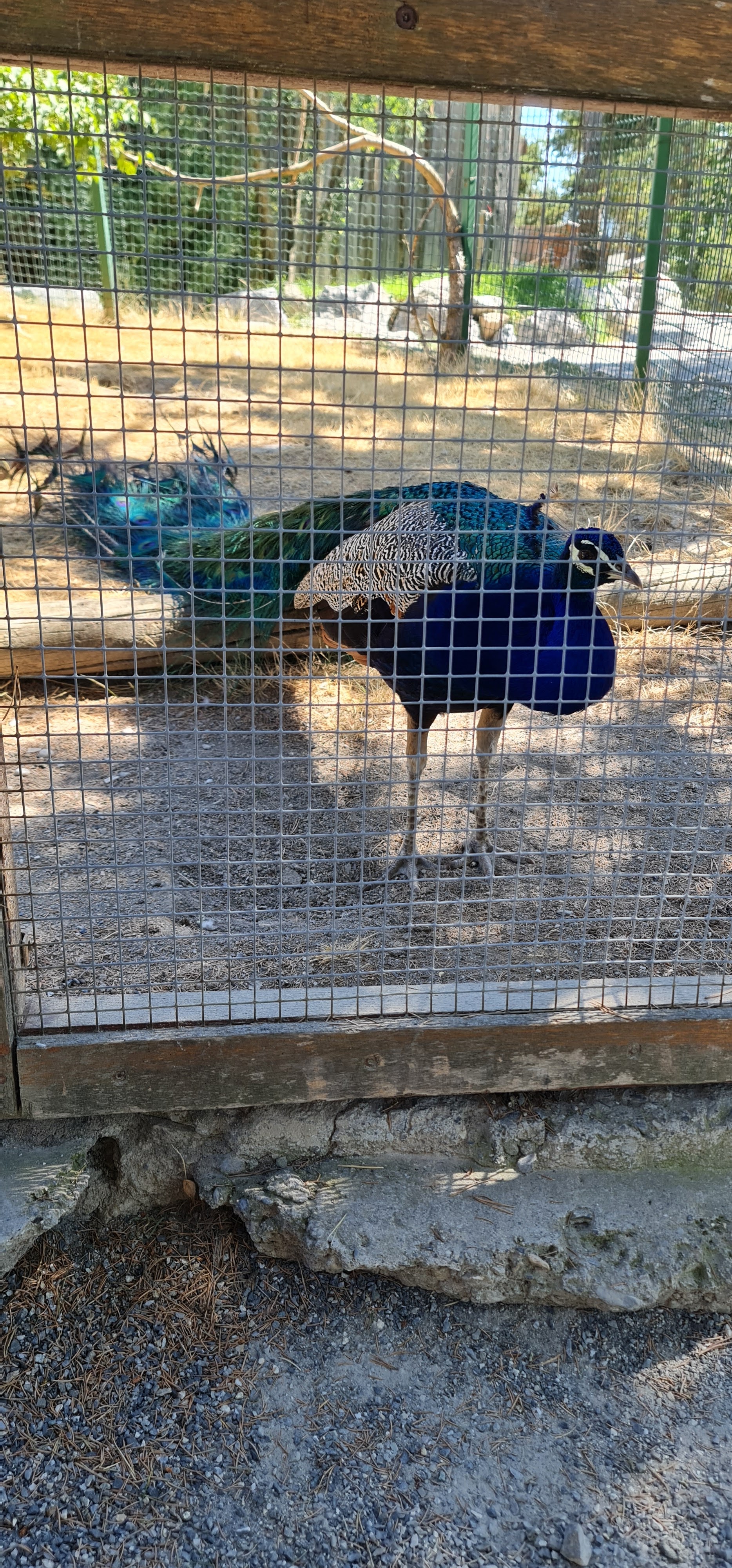 Photo n° 10 de l'avis de Julie.a fait le 03/08/2019 à 12:47