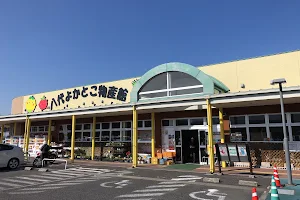 Yatsushiro Yokatoko Produce Market image