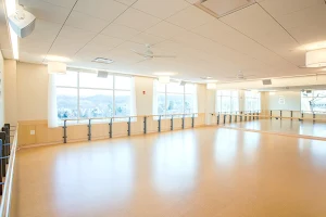 barre3 image