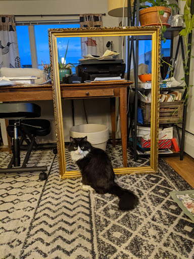 Pet Supply Store «Pet Food Warehouse, Ltd.», reviews and photos, 2455 Shelburne Rd, Shelburne, VT 05482, USA