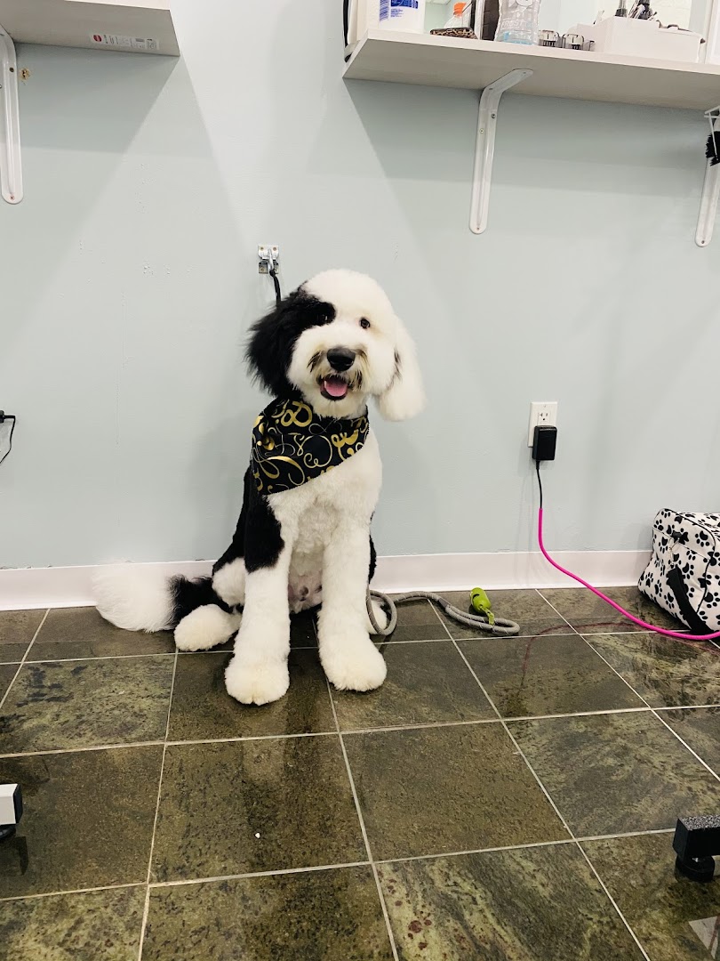 Tailspin Pet Grooming Wyoming