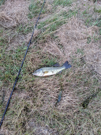 Park «Heritage Oaks Park», reviews and photos, 310 N Fairfield Rd, Hawthorn Woods, IL 60047, USA