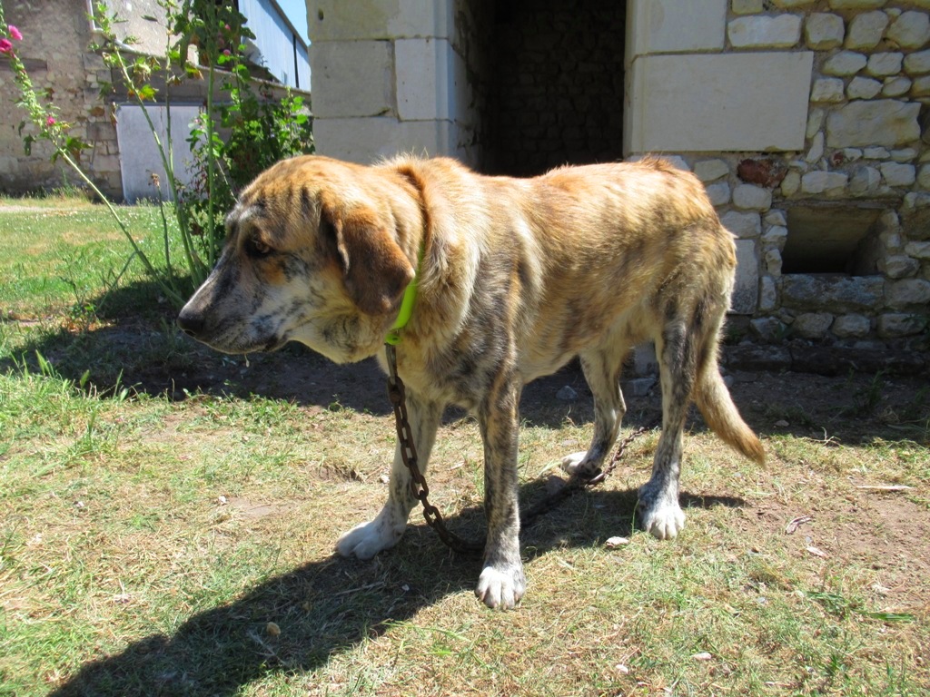 Photo n° 25 de l'avis de Pedro.e fait le 05/08/2019 à 14:02