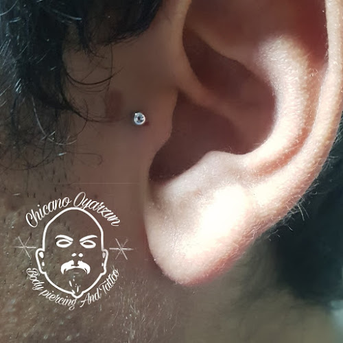 https://chicano-oyarzun1.webnode.cl/