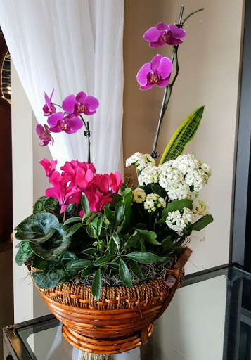 Florist «Naperville Florist», reviews and photos, 2852 Ogden Ave #160, Naperville, IL 60540, USA