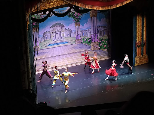 Performing Arts Theater «Orpheum Theatre», reviews and photos, 1 Hamilton Pl, Boston, MA 02108, USA