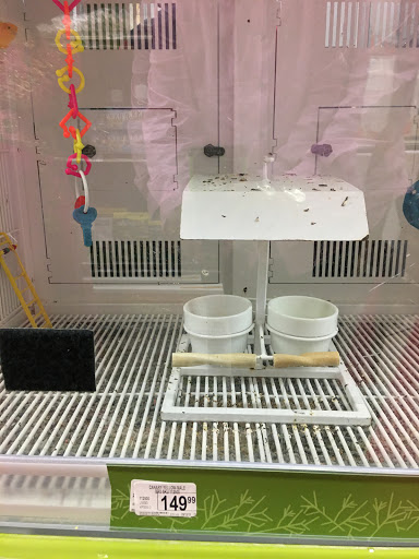 Pet Supply Store «Petco Animal Supplies», reviews and photos, 3055 N President George Bush Hwy, Garland, TX 75040, USA