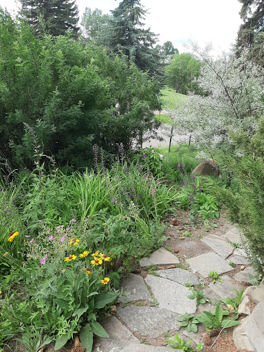 Reader Rock Garden