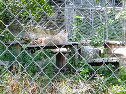 Zoo «Washington Park Zoo», reviews and photos, 115 Lake Shore Dr, Michigan City, IN 46360, USA